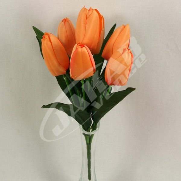 kytica-tulipan-x7-jx1416-337.jpg