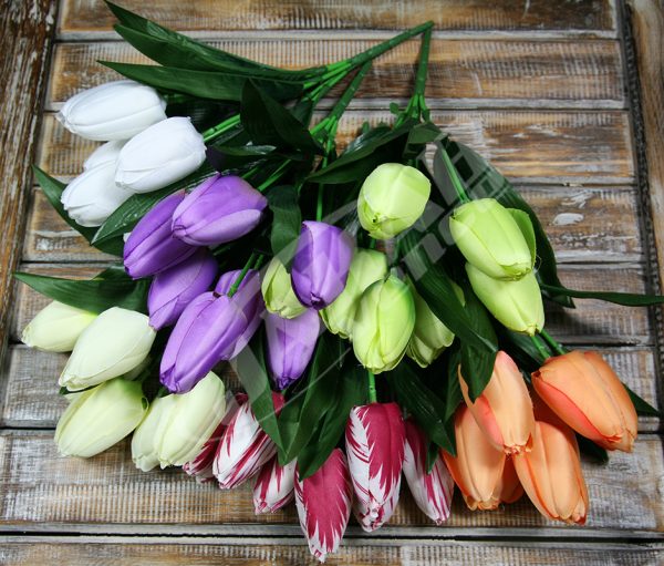 kytica-tulipan-x7-jx1416-337.jpg