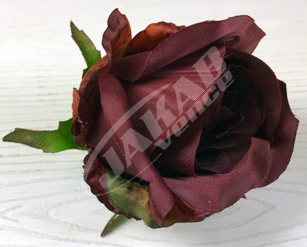 Ruža vencová JX1267-20