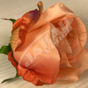 Ruža vencová JX1267-23