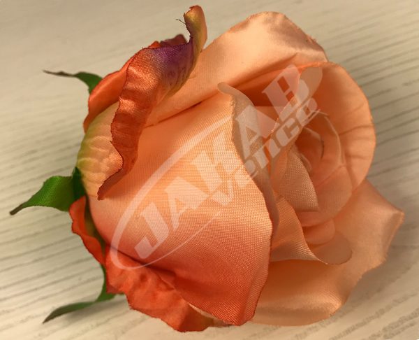 Ruža vencová JX1267-23