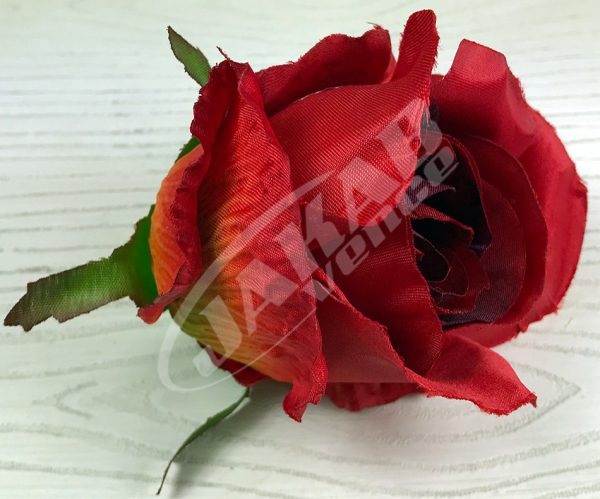 Ruža vencová JX1267-33