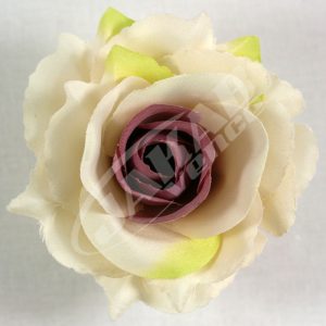 Ruža vencová rozvitá JX1636-11