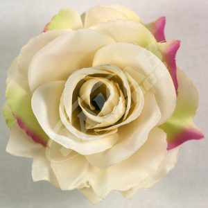 Ruža vencová rozvitá JX1636-7