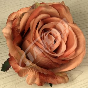 Ruža vencová JX1921-23