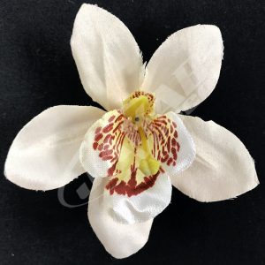 Orchidea vencová SCC12-2