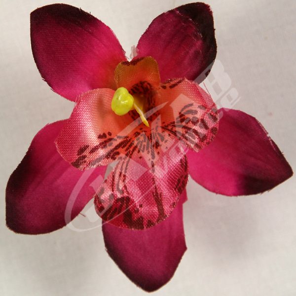Orchidea vencová SCC12-3