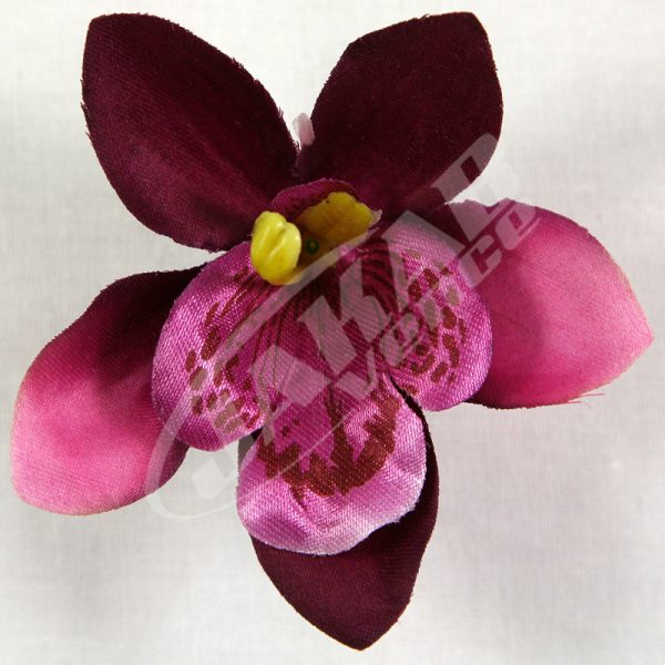 Orchidea vencová SCC12-9
