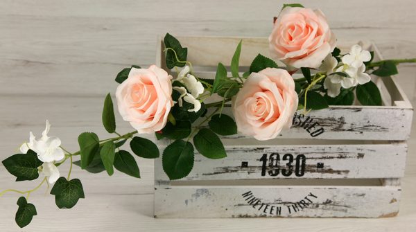 Vetva ruža hortenzia x6 YX1024