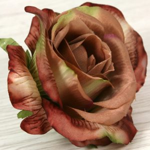 Ruža vencová JX19095-66