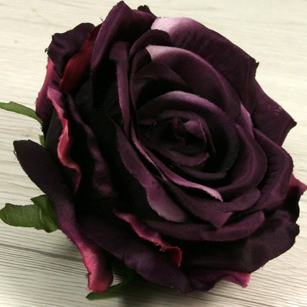 Ruža vencová JX1921-51