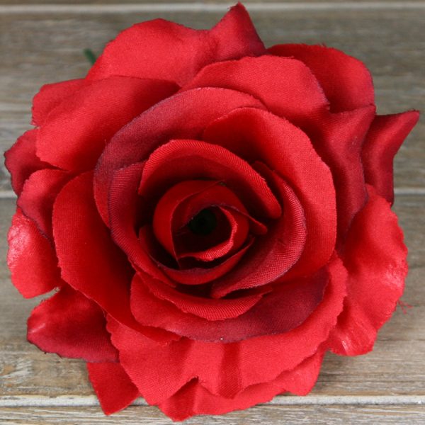 Ruža vencová rozvitá JX1636-46