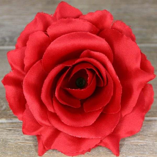 Ruža vencová rozvitá JX1636-55
