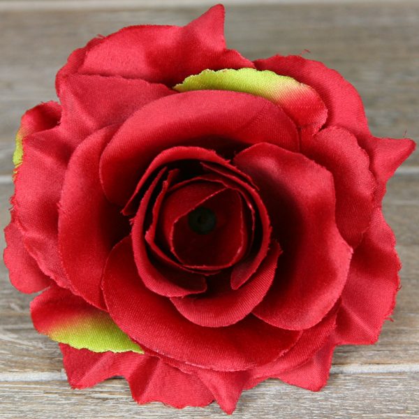Ruža vencová rozvitá JX1636-75