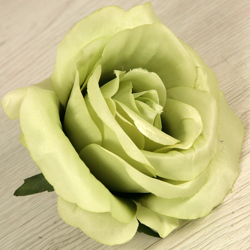 Ruža vencová JX19095-12