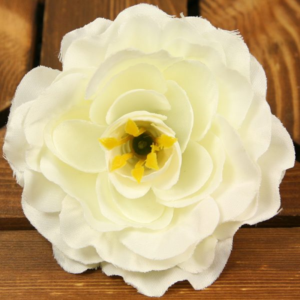 Čajová ruža vencová XYL011-2