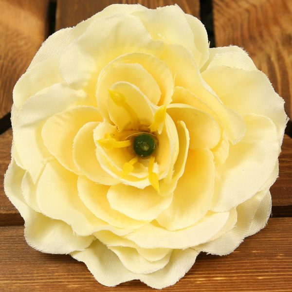 Čajová ruža vencová XYL011-4