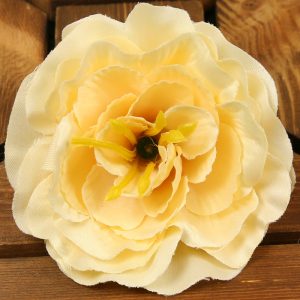 Čajová ruža vencová XYL011-89