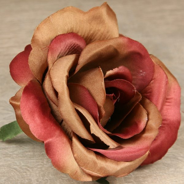 Ruža vencová JX19095-32