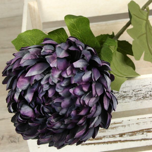 Chryzantéma  0411-1