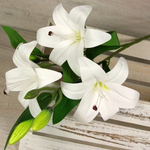 Vetva ľalia luxusná x3+2  0411-4-WH