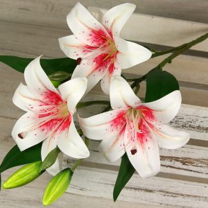 Vetva ľalia luxusná x3+2  0411-4