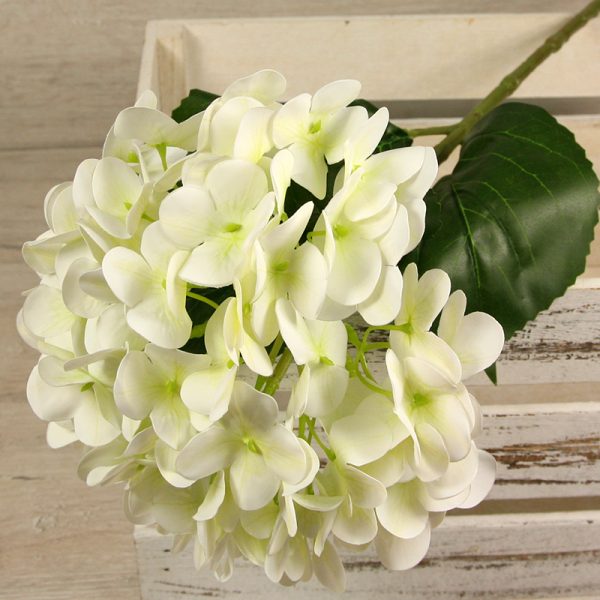 Hortenzia  0411-5-CR – Obrázok 3