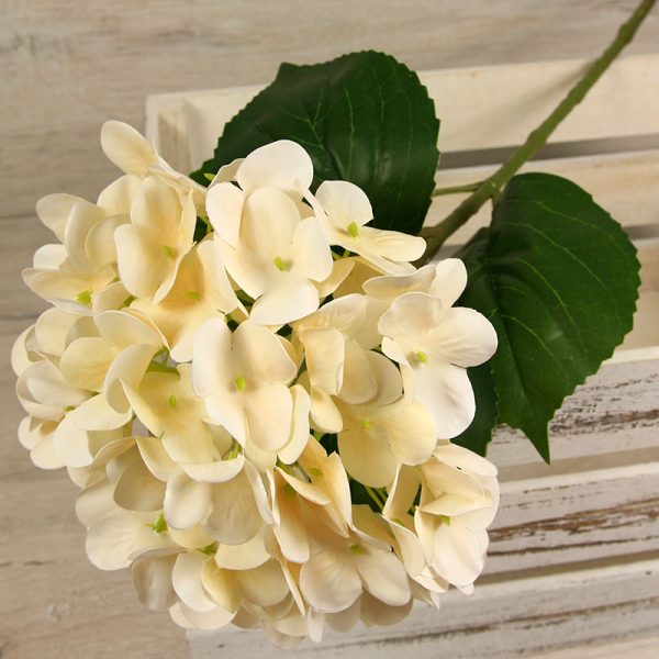 Hortenzia  0411-5-CR – Obrázok 2