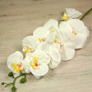 Vetva orchidea  304-14-CR