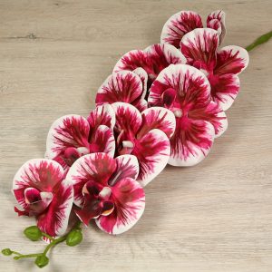 Vetva orchidea  304-14