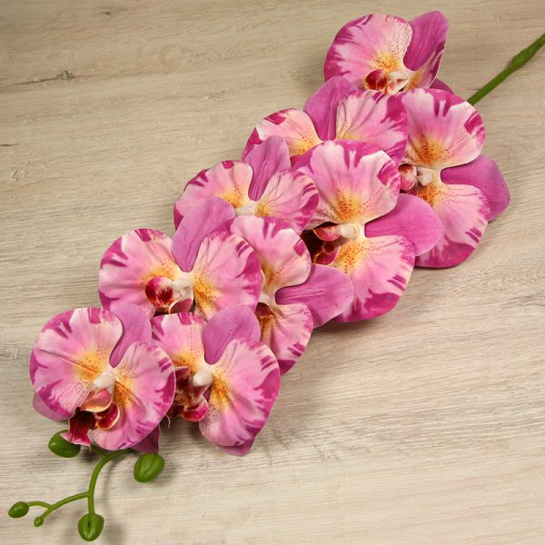 Vetva orchidea  304-14 – Obrázok 6