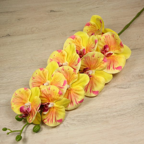 Vetva orchidea  304-14 – Obrázok 4
