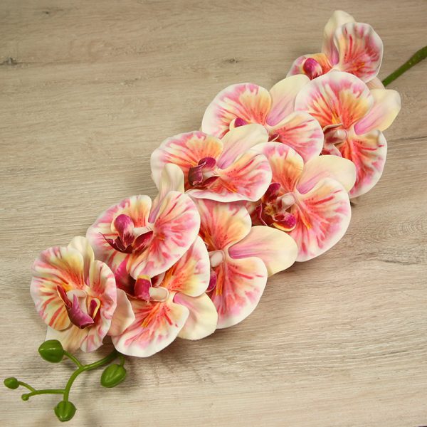 Vetva orchidea  304-14 – Obrázok 3