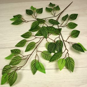 Vetva ficus x3  F24-04
