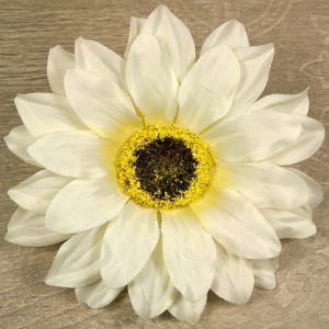 Rudbekia vencová  JX20241139-3