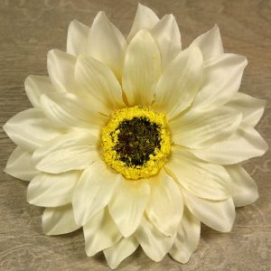 Rudbekia vencová  JX20241139-4