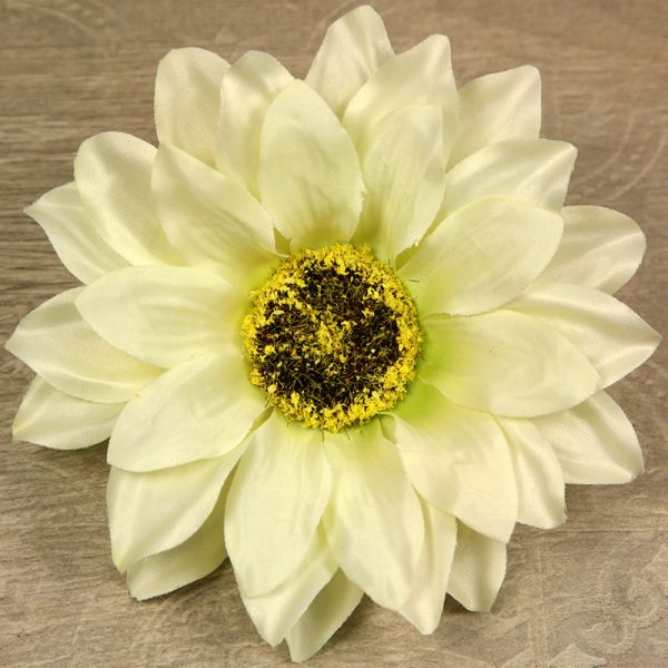 Rudbekia vencová  JX20241139-6