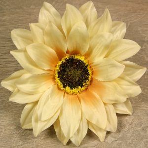 Rudbekia vencová  JX20241139-89