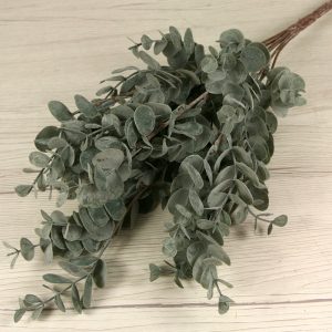 Trs eukalyptus x6  TM6321338