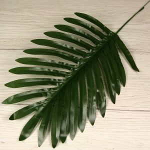 Palmový list  0172-10