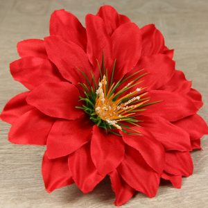 Dália vencová  JX2117-55