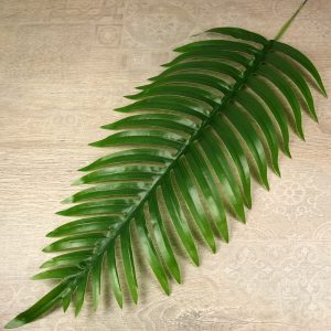 Palmový list  LB24-05