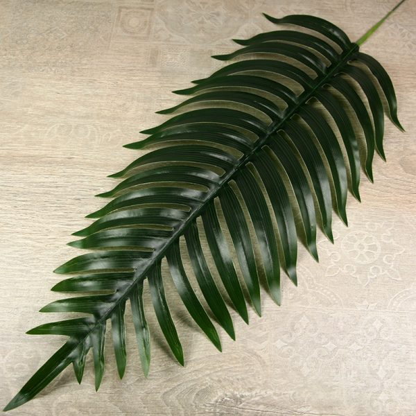 Palmový list  LB24-05 – Obrázok 2